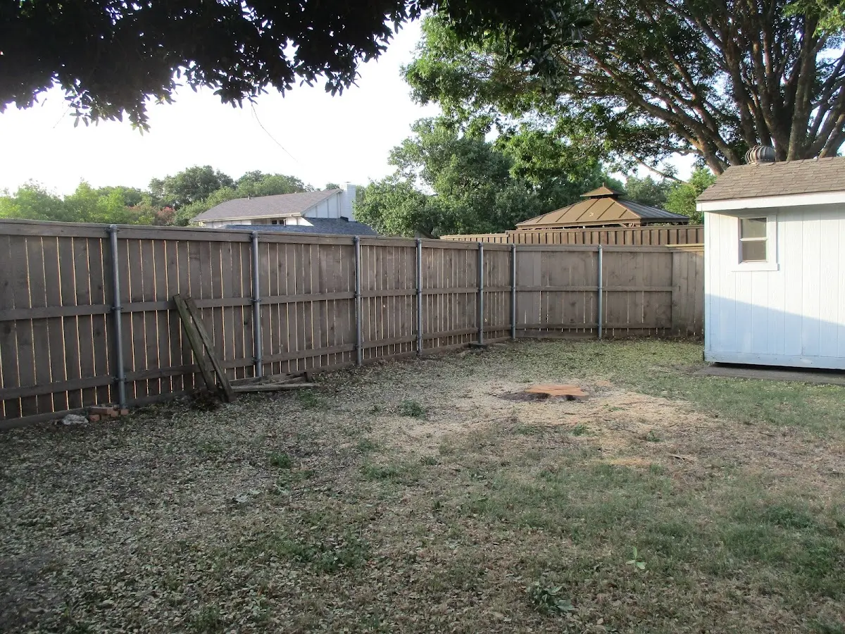 Cleared yard after professional tree removal in Norton